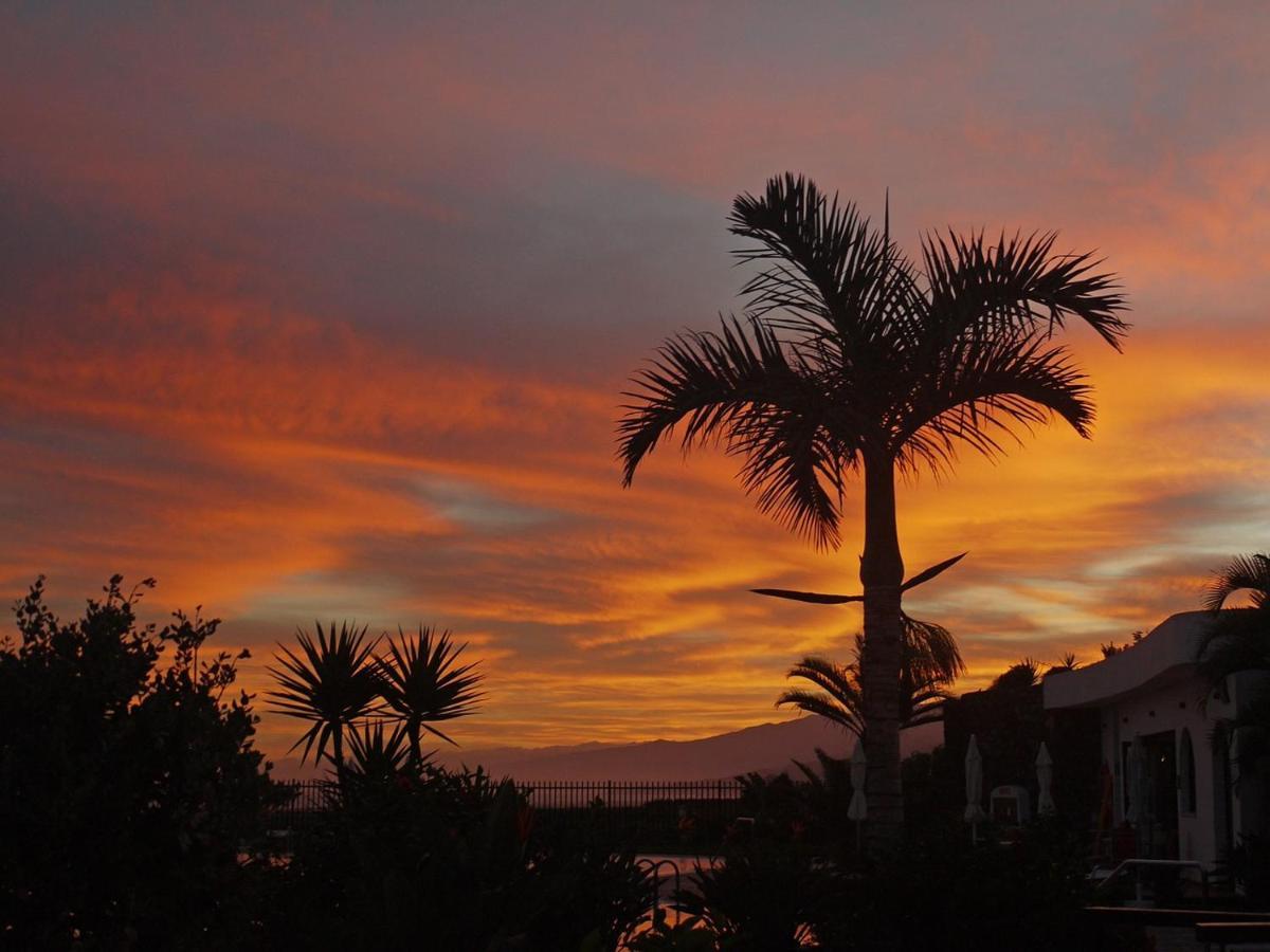 Tenerife Holidays Costa Adeje  Eksteriør bilde